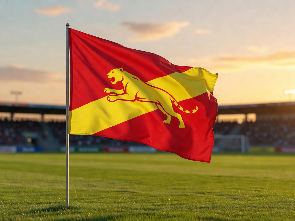 National football team flag of DR Congo